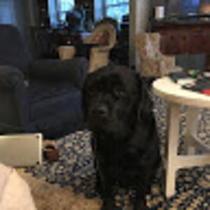 Meet your Posher, William